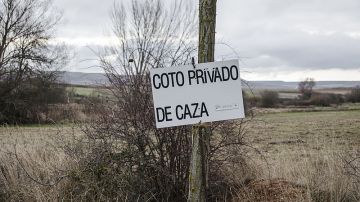 Gestión de cotos de caza